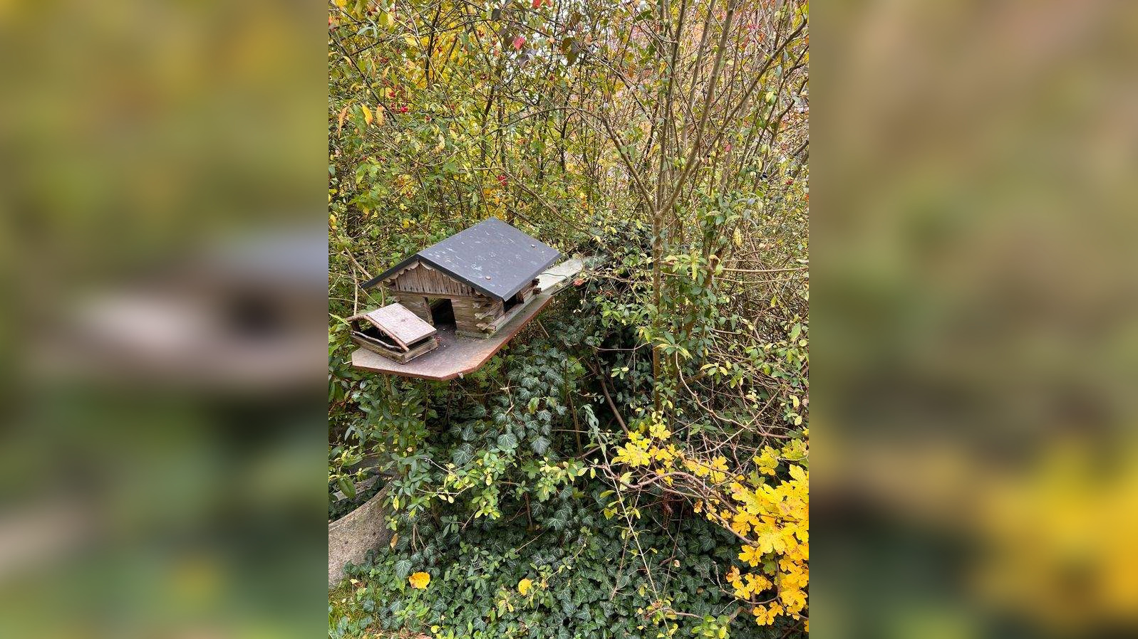 Bild 6
