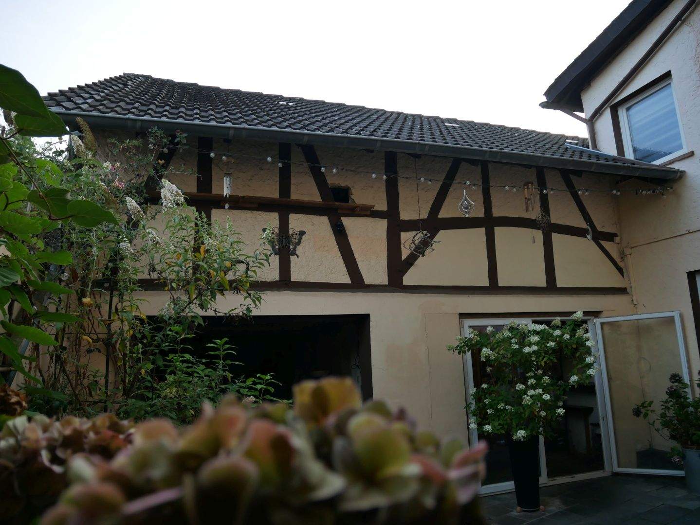 Bild 5