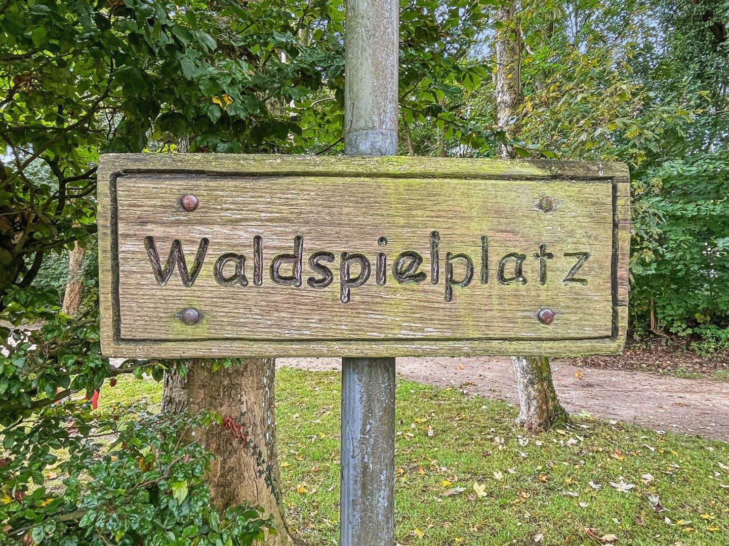 Bild 8