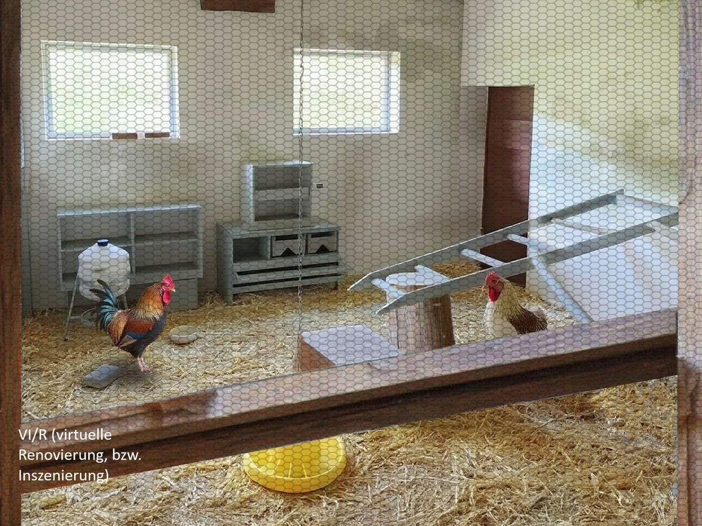 Bild 11