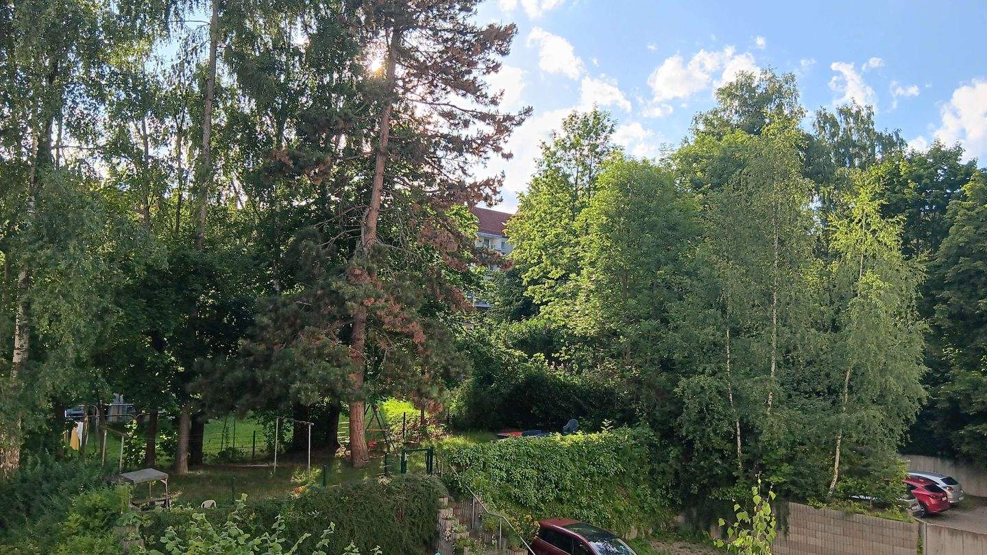 Bild 9