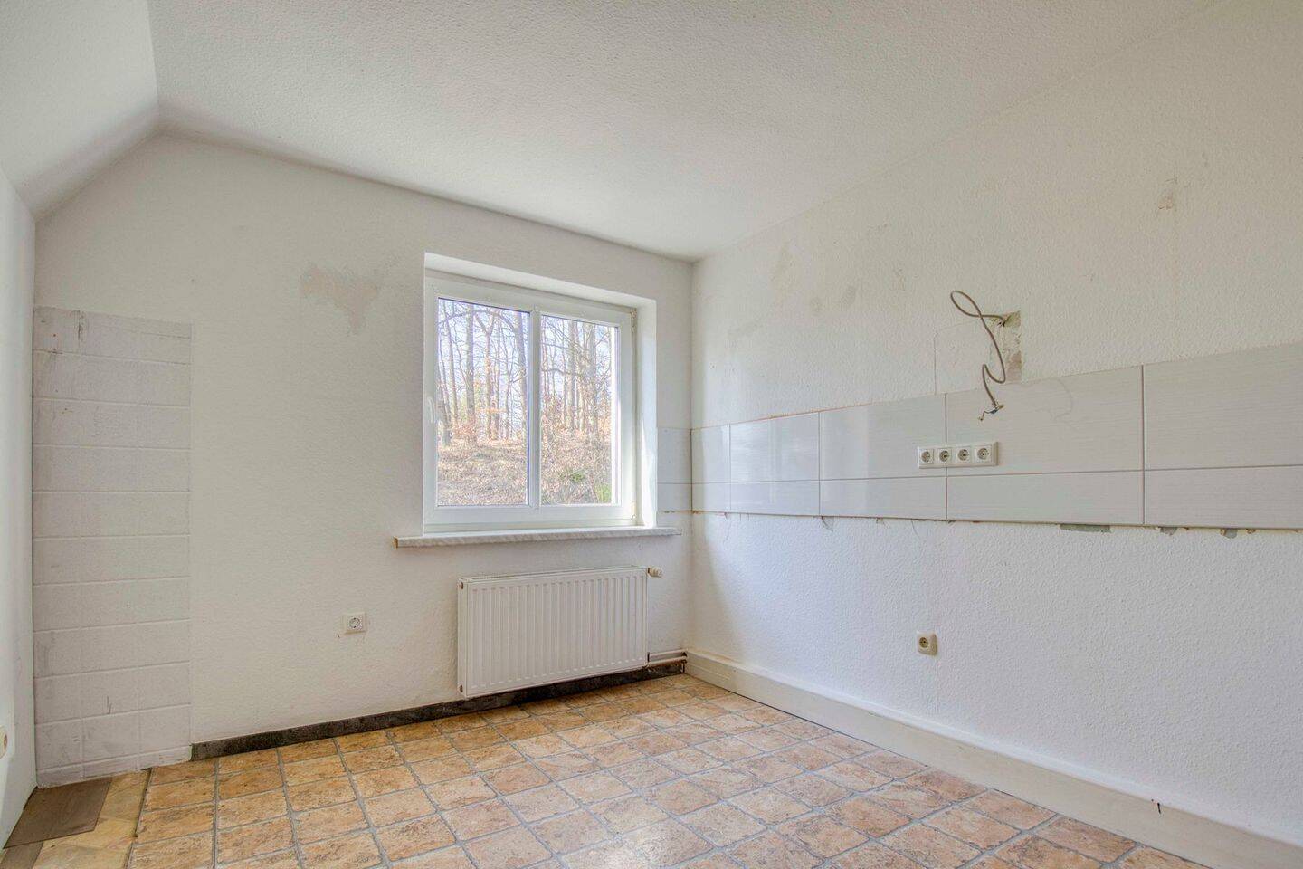 Bild 19