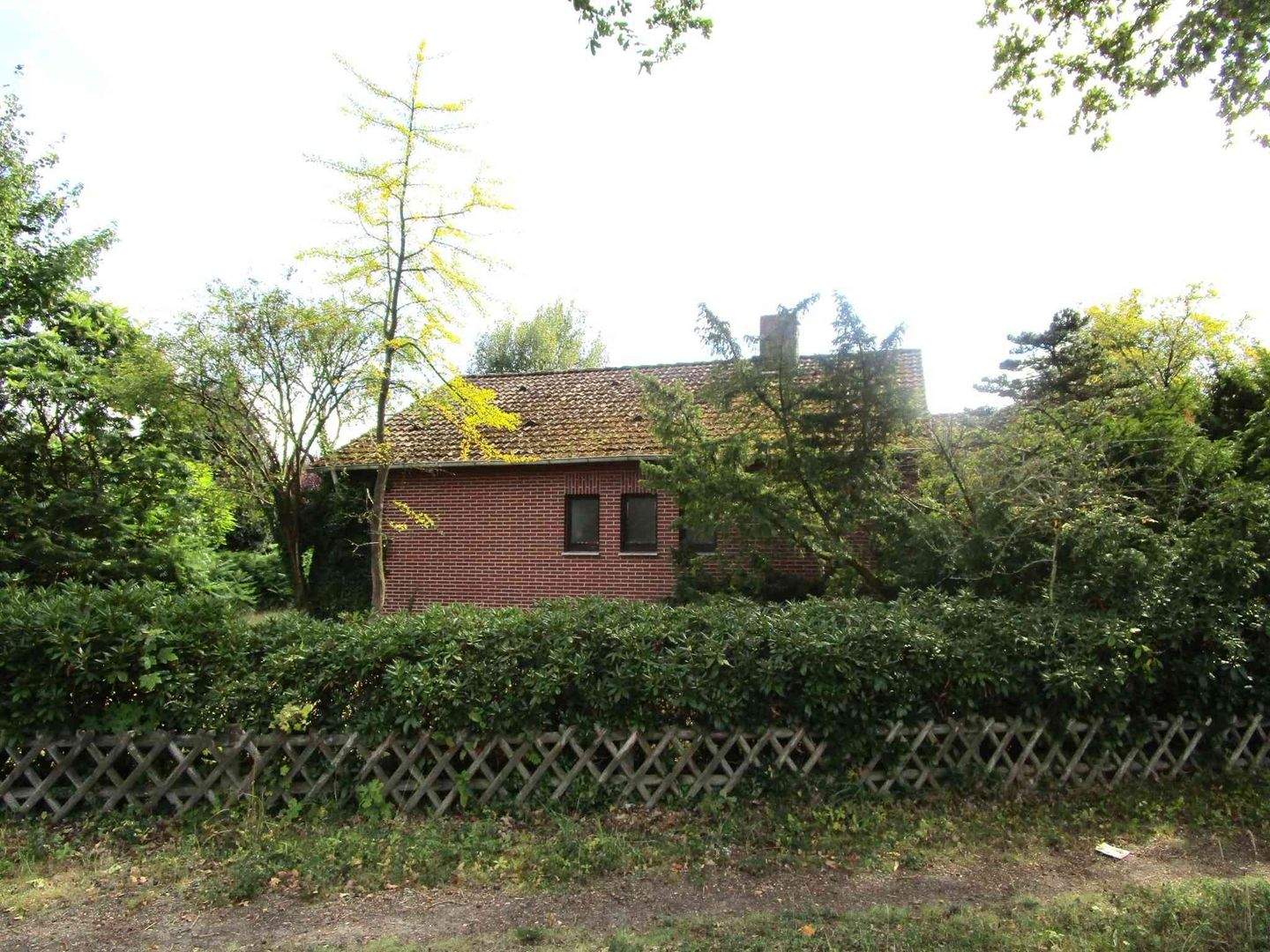 Bild 3