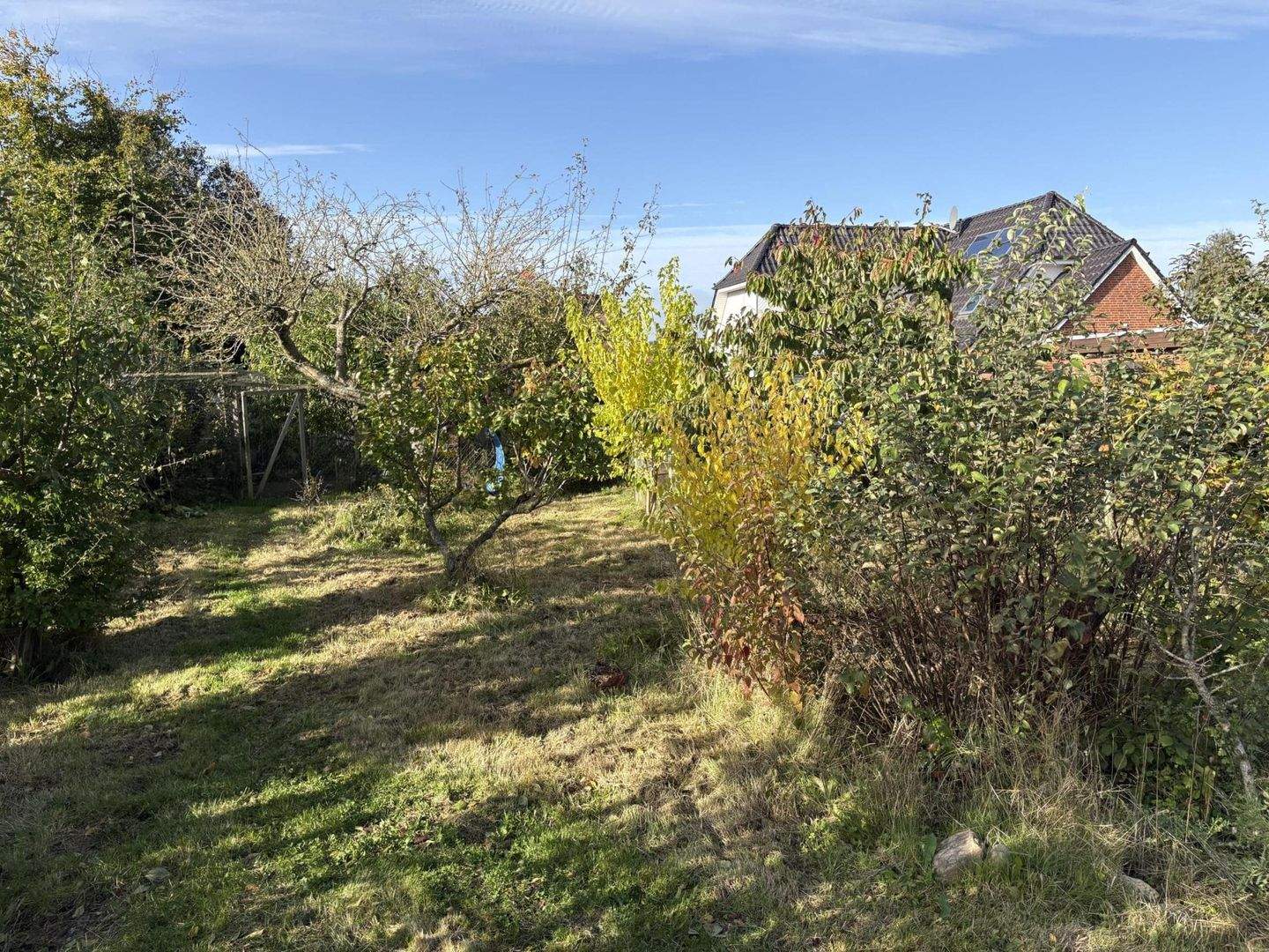 Bild 7