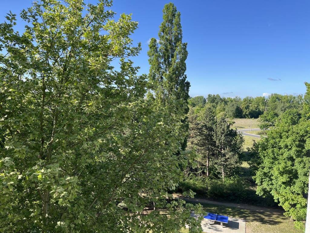Bild 12