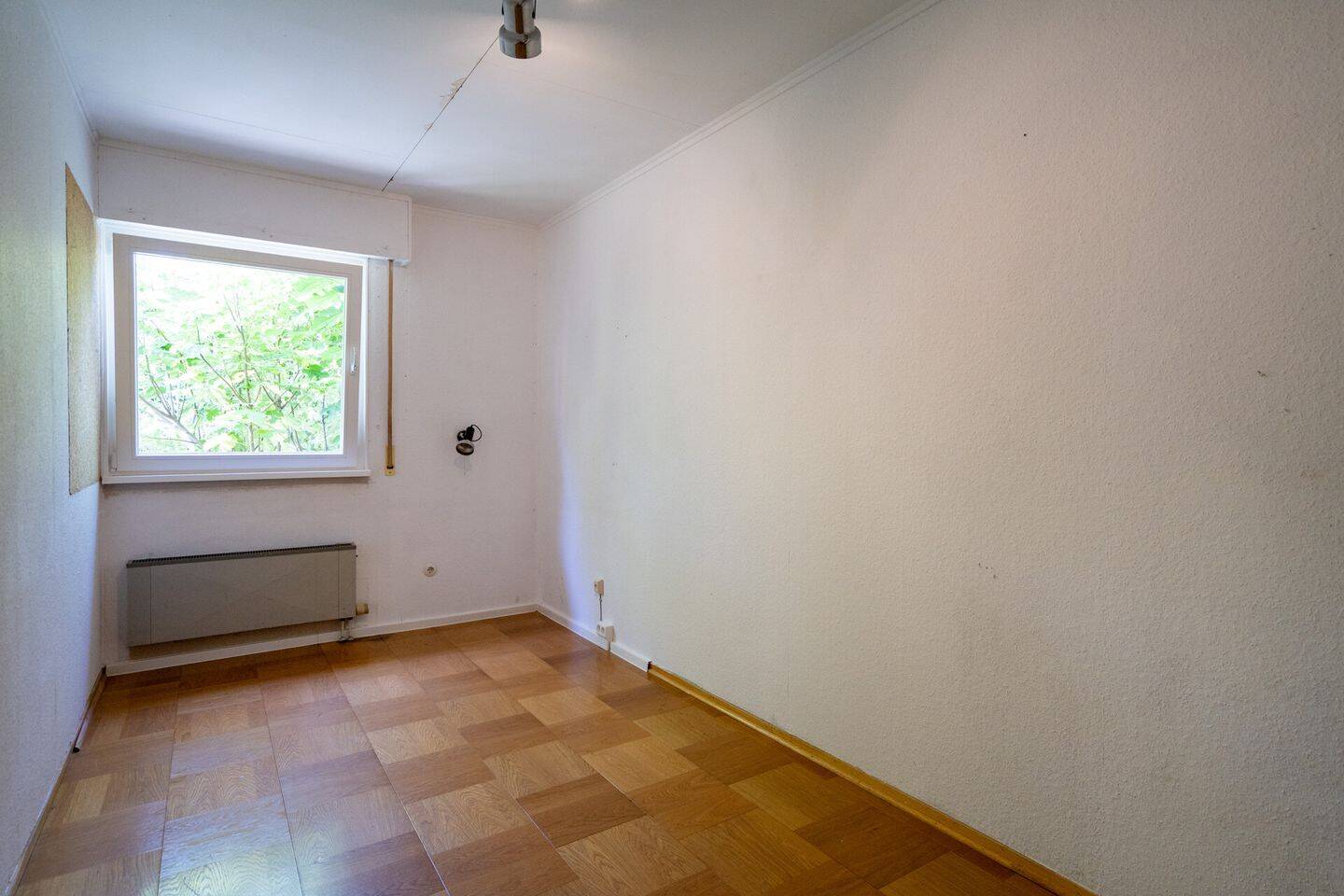Bild 19