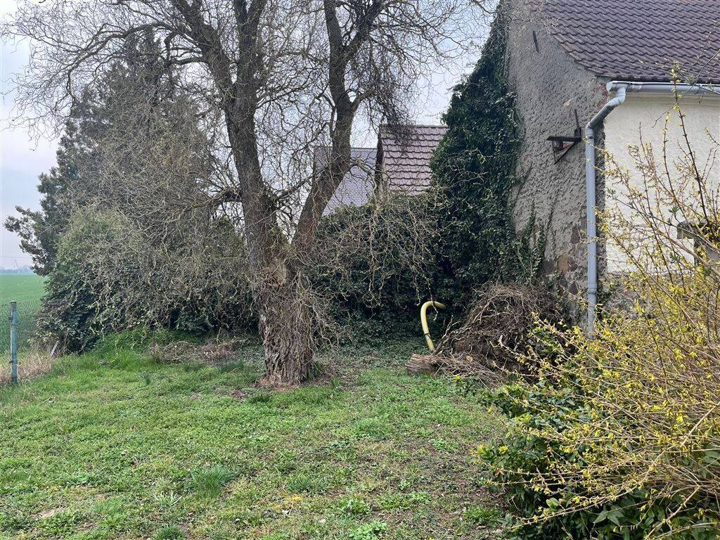 Bild 14