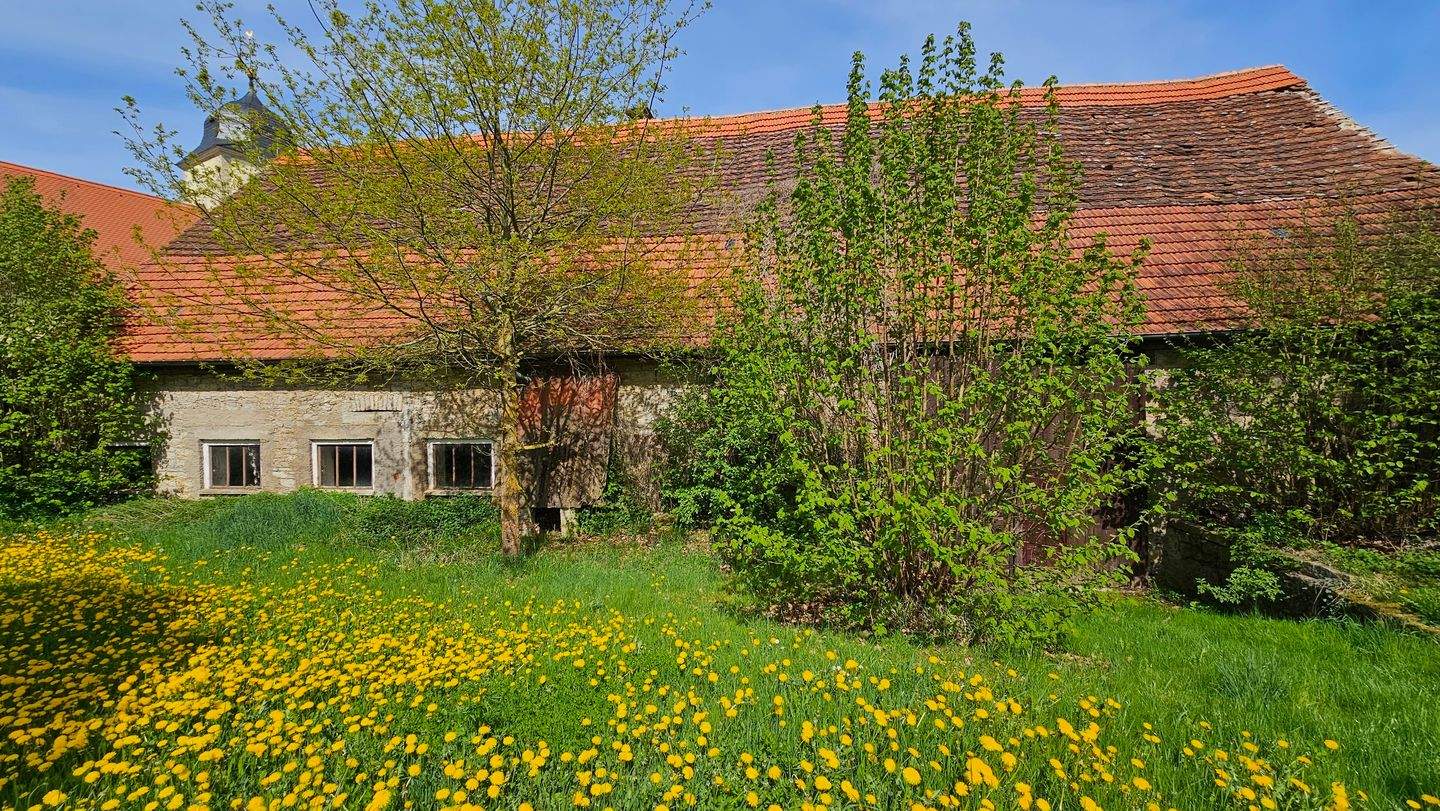 Bild 15