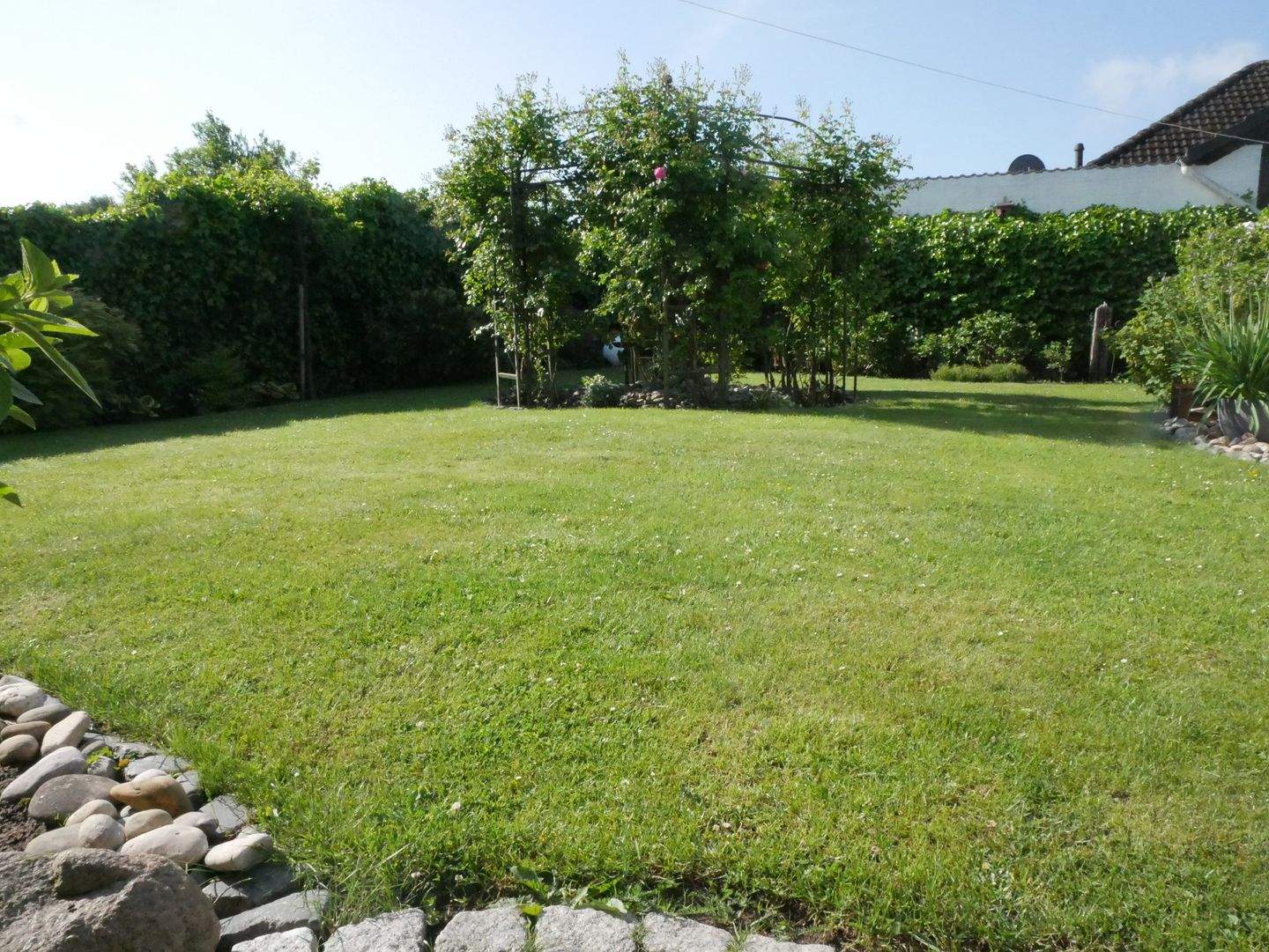 Bild 4