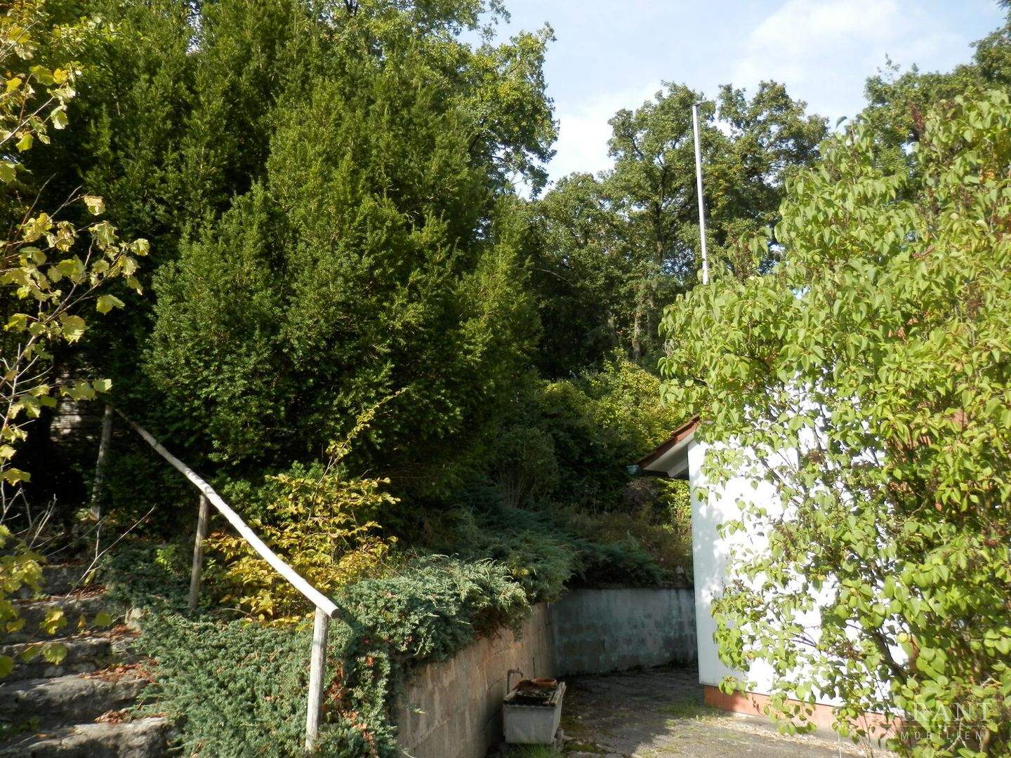 Bild 7