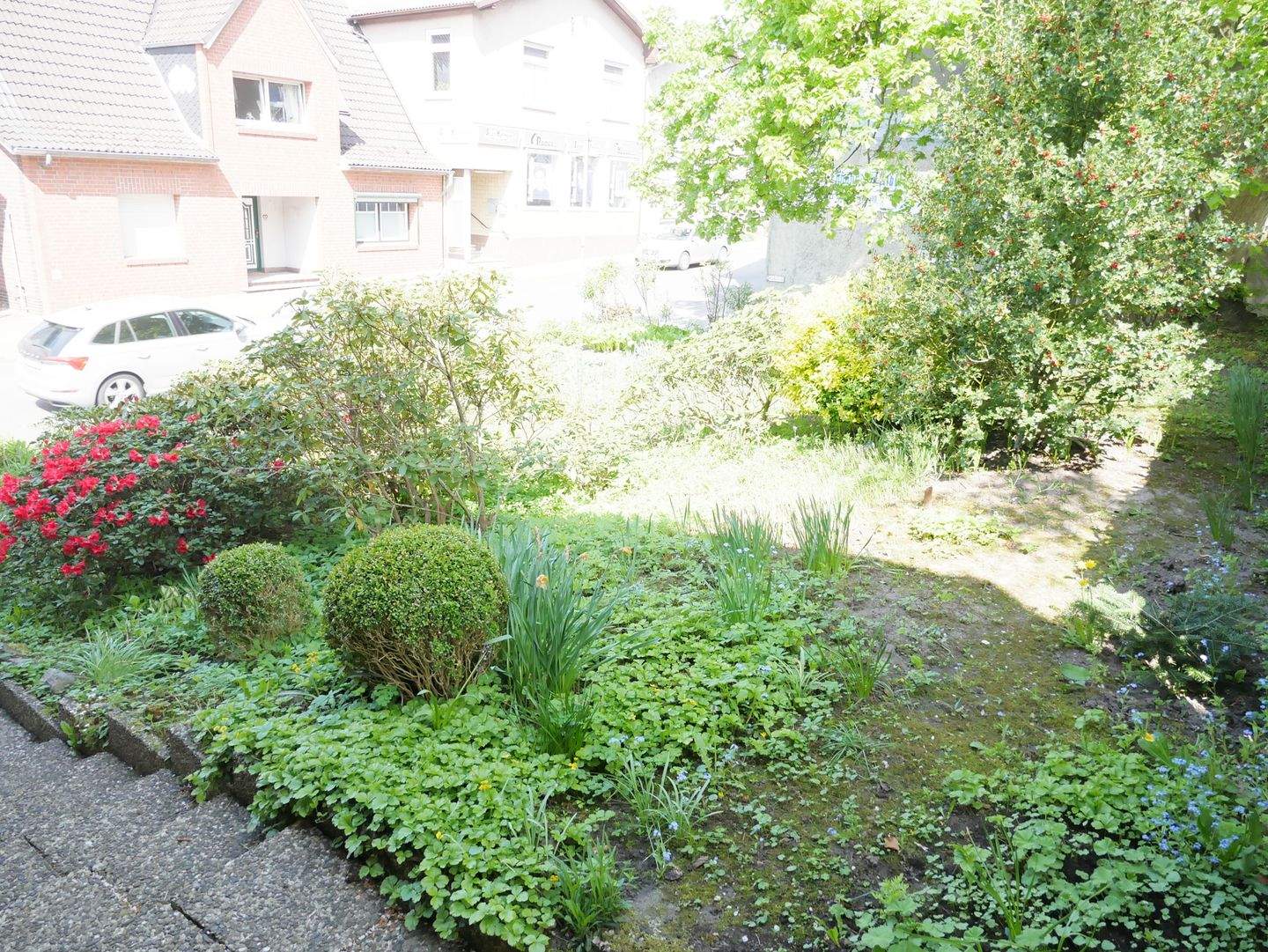 Bild 7