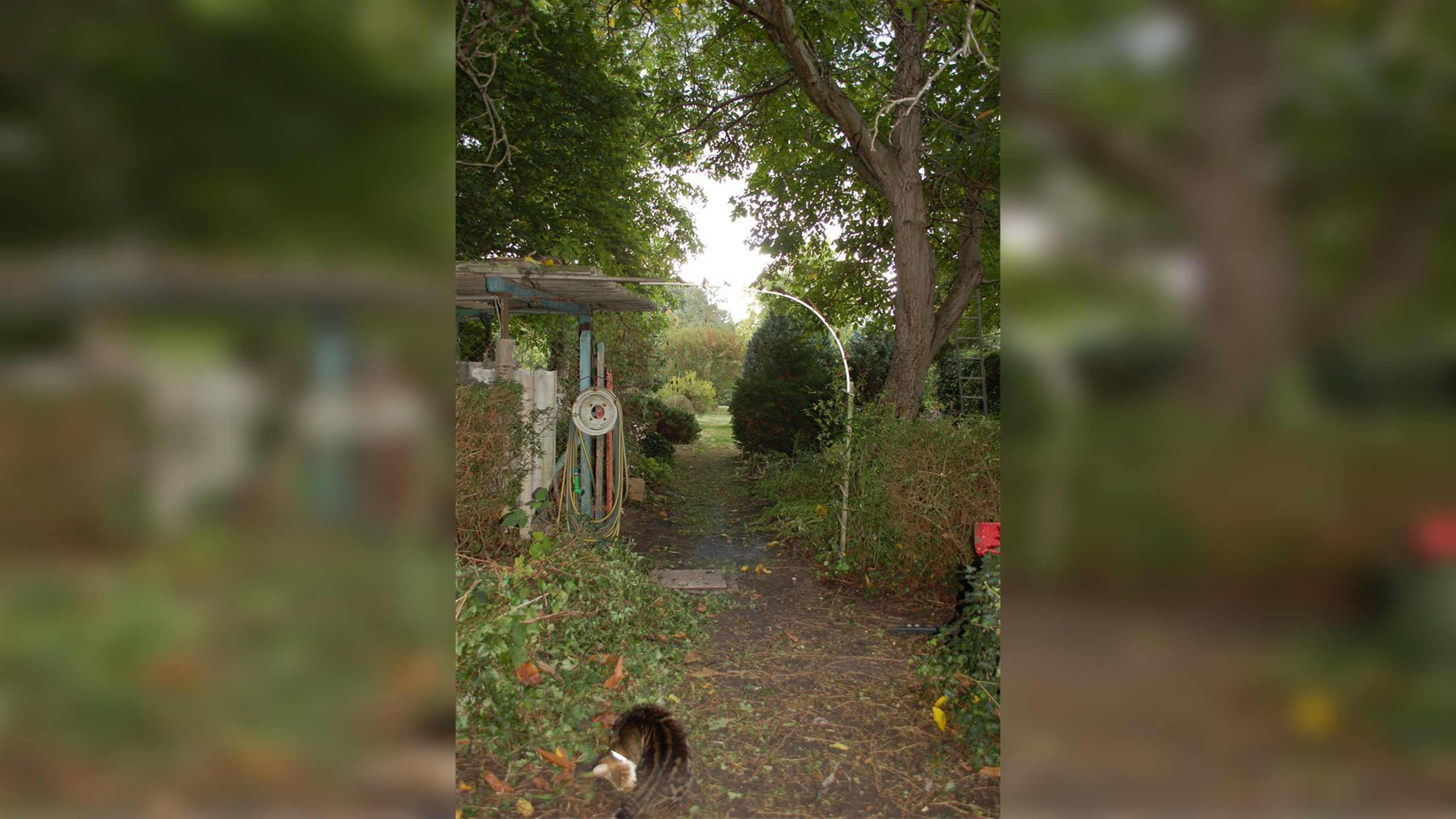 Bild 11