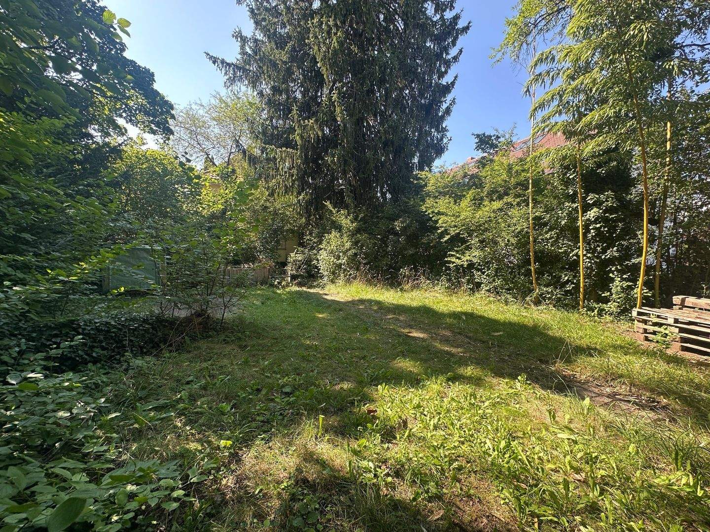 Bild 11