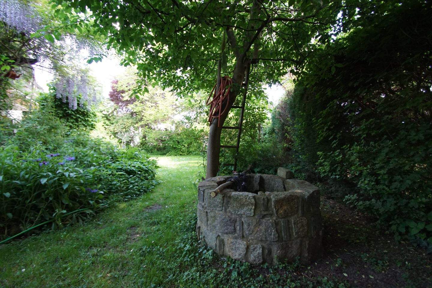 Bild 8