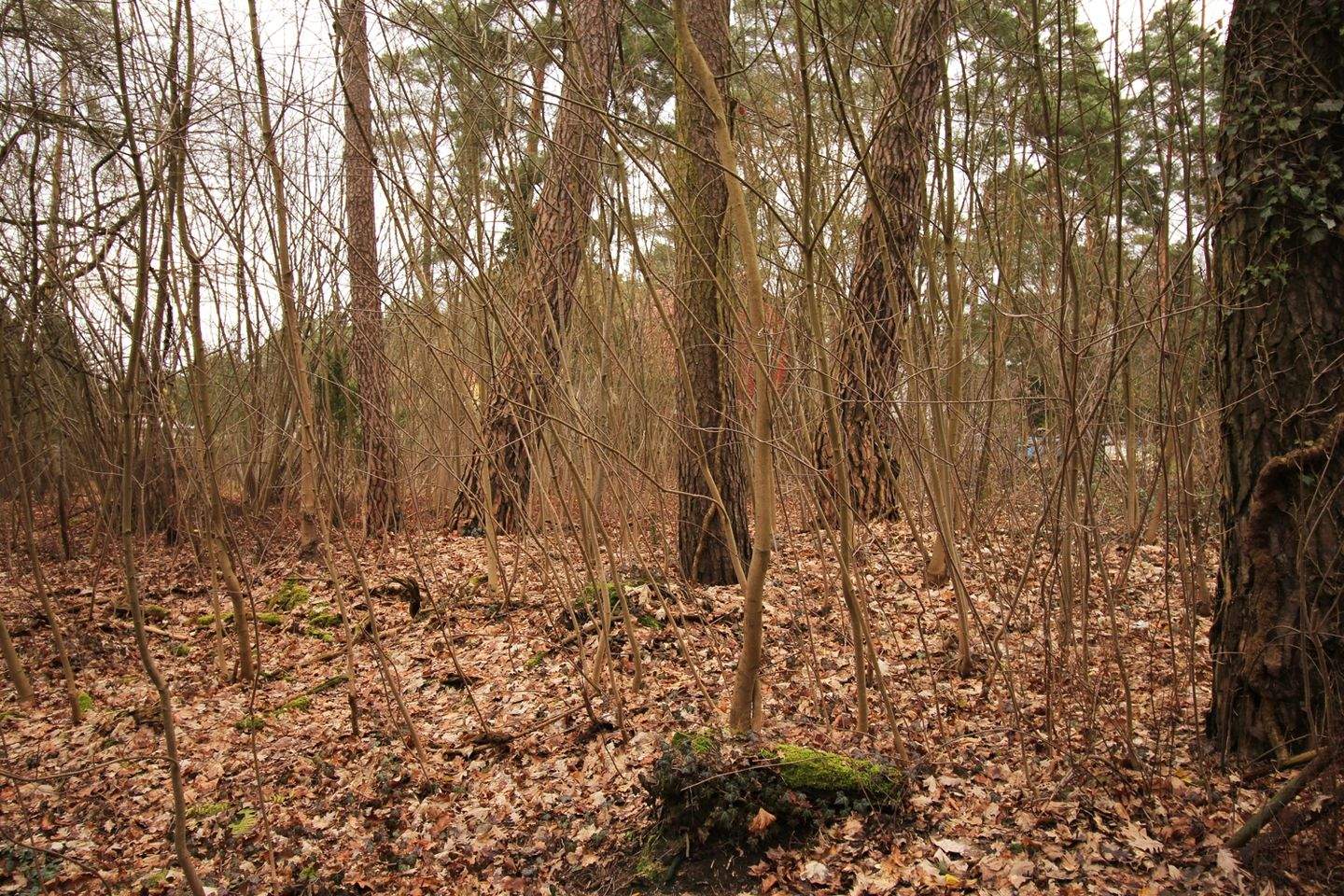Bild 4