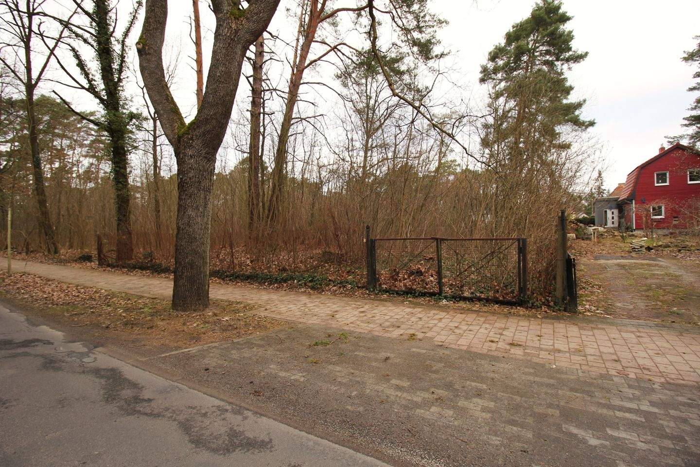 Bild 5