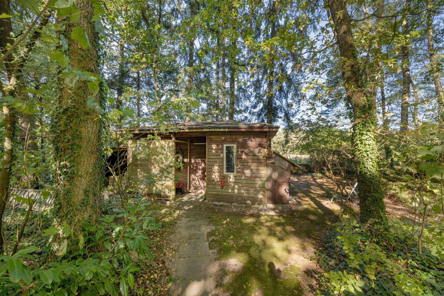 Bild 9