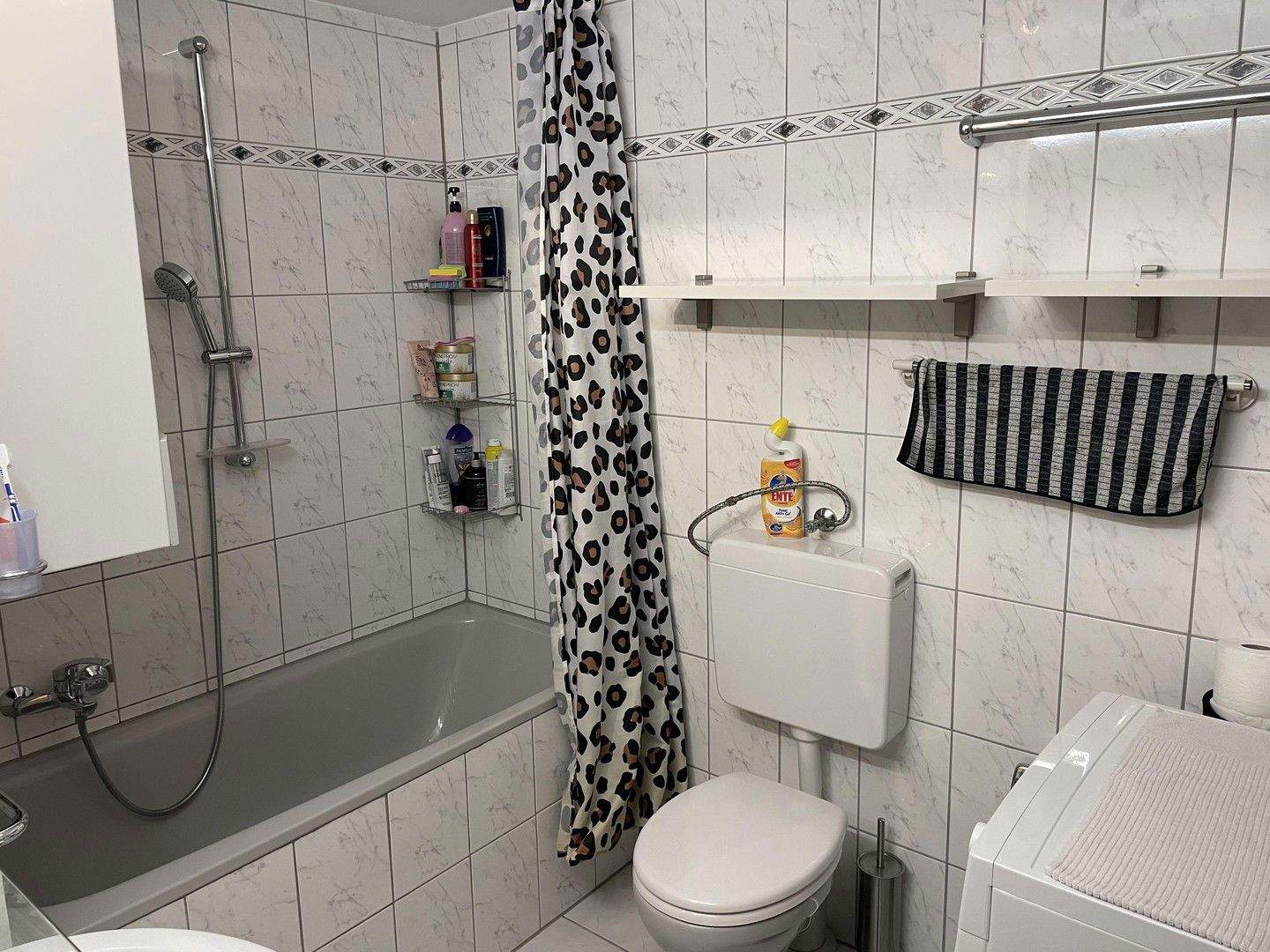 Bild 11