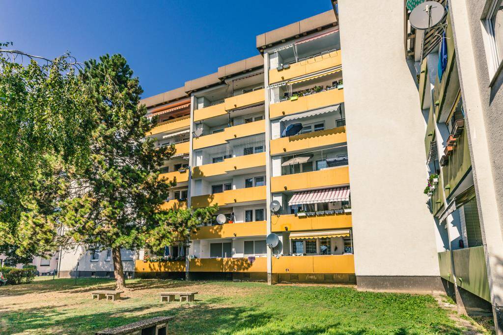 Bild 12