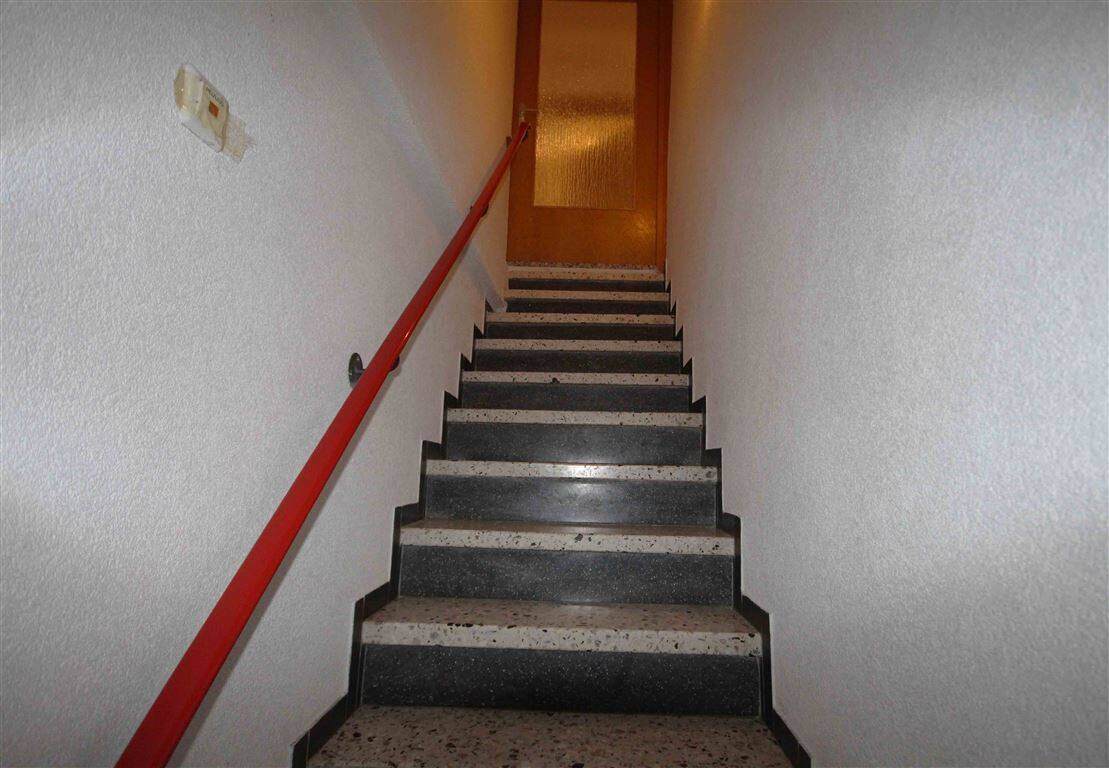 image-56637286