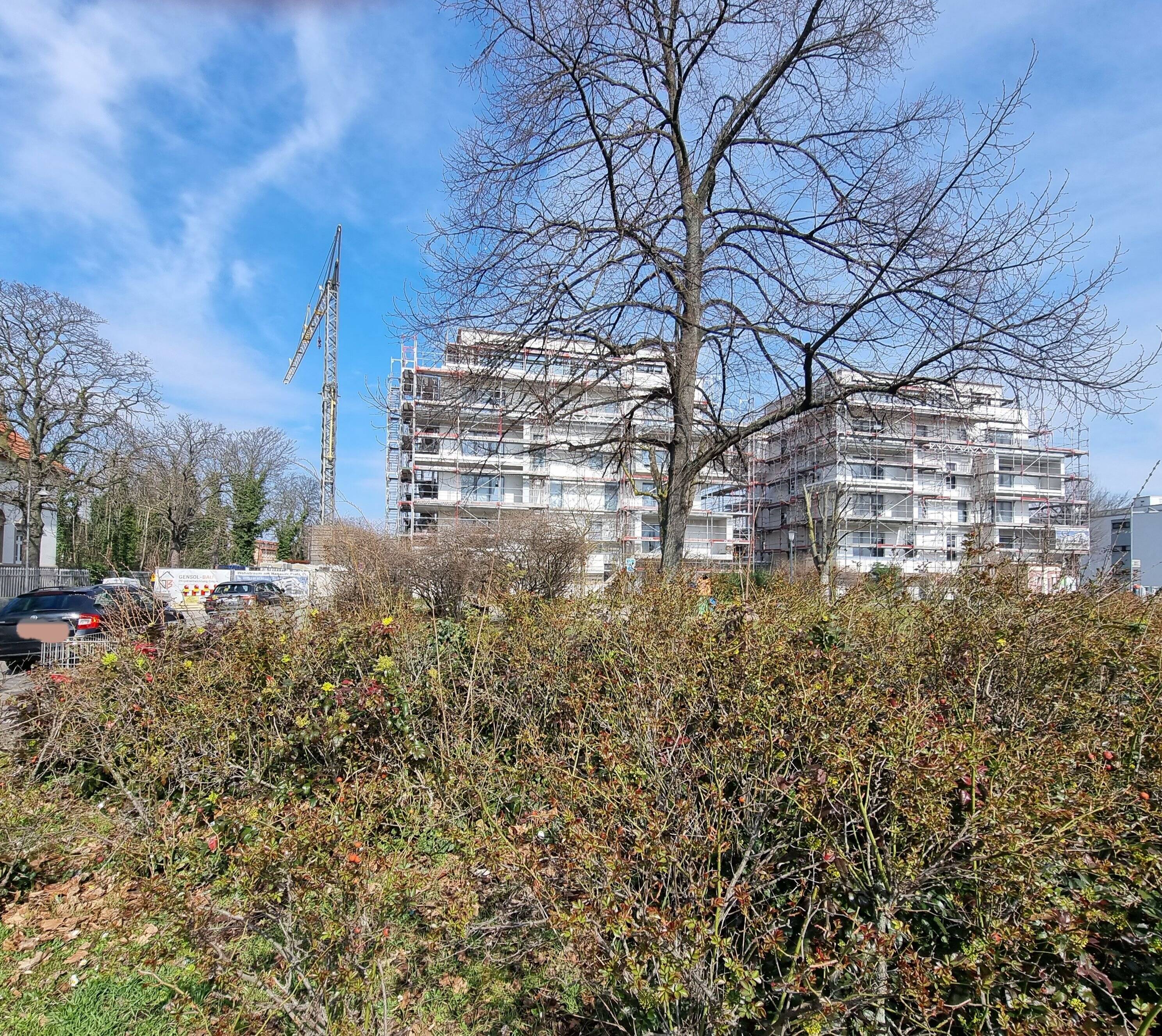 Bild 11