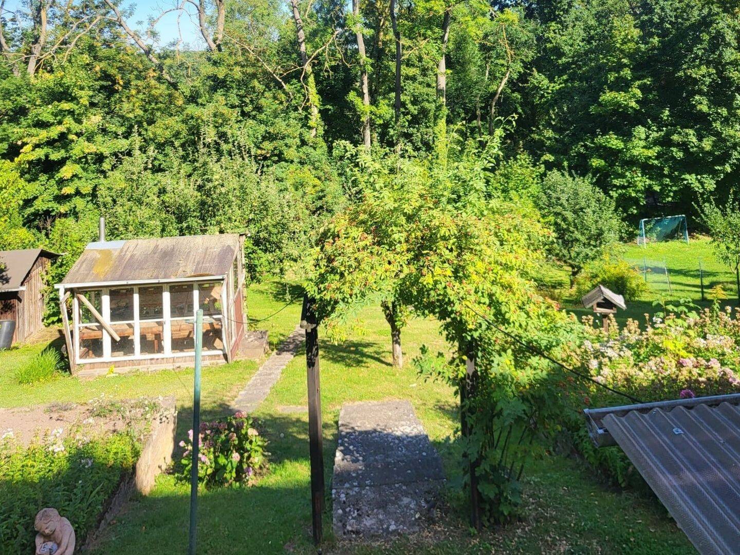 Bild 12