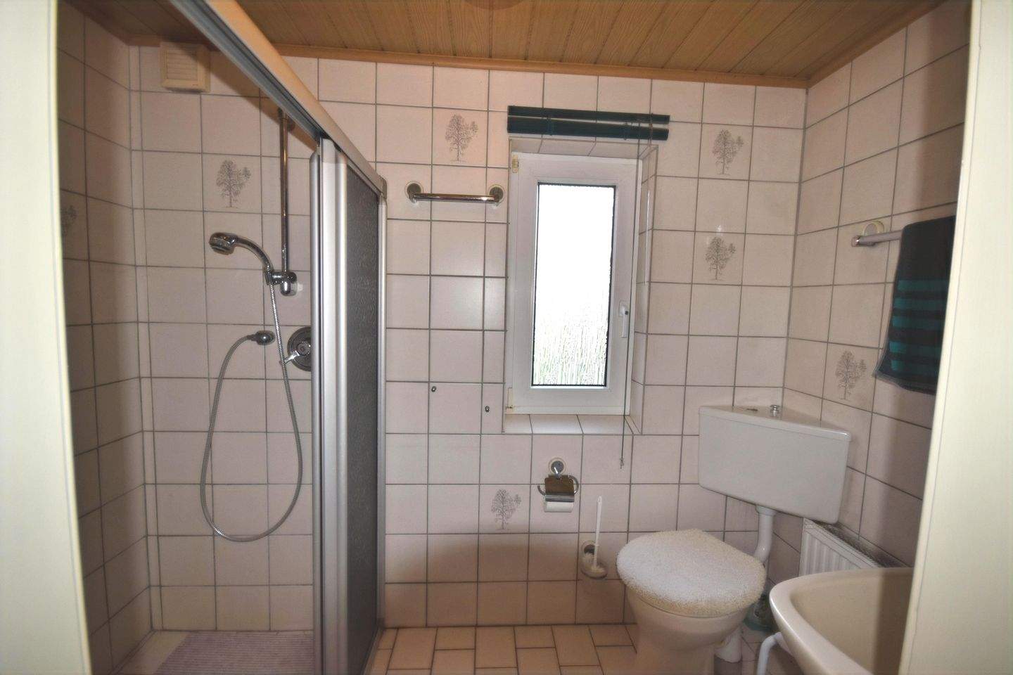 Bild 7