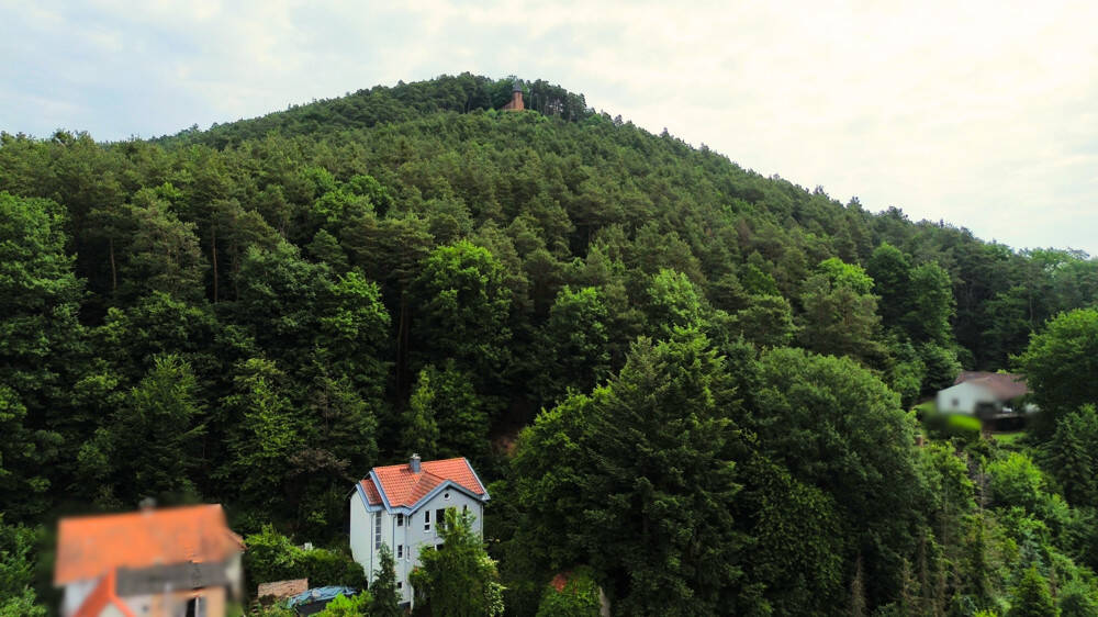 Bild 8