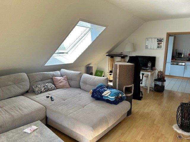 Bild 8