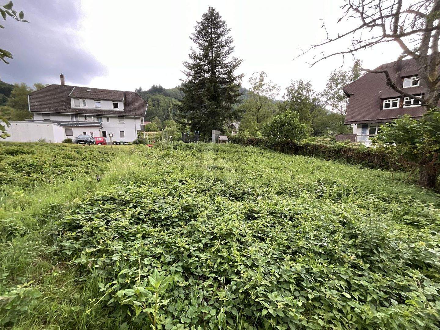 Bild 5