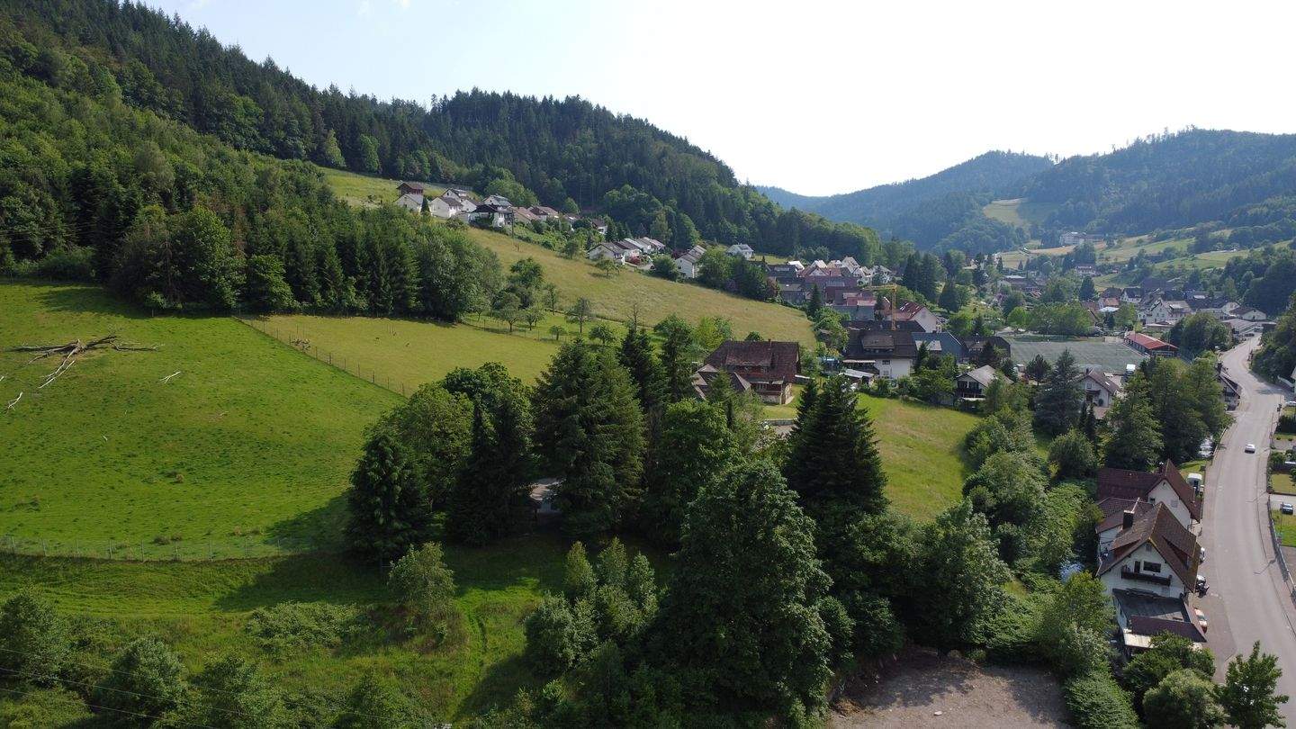 Bild 10
