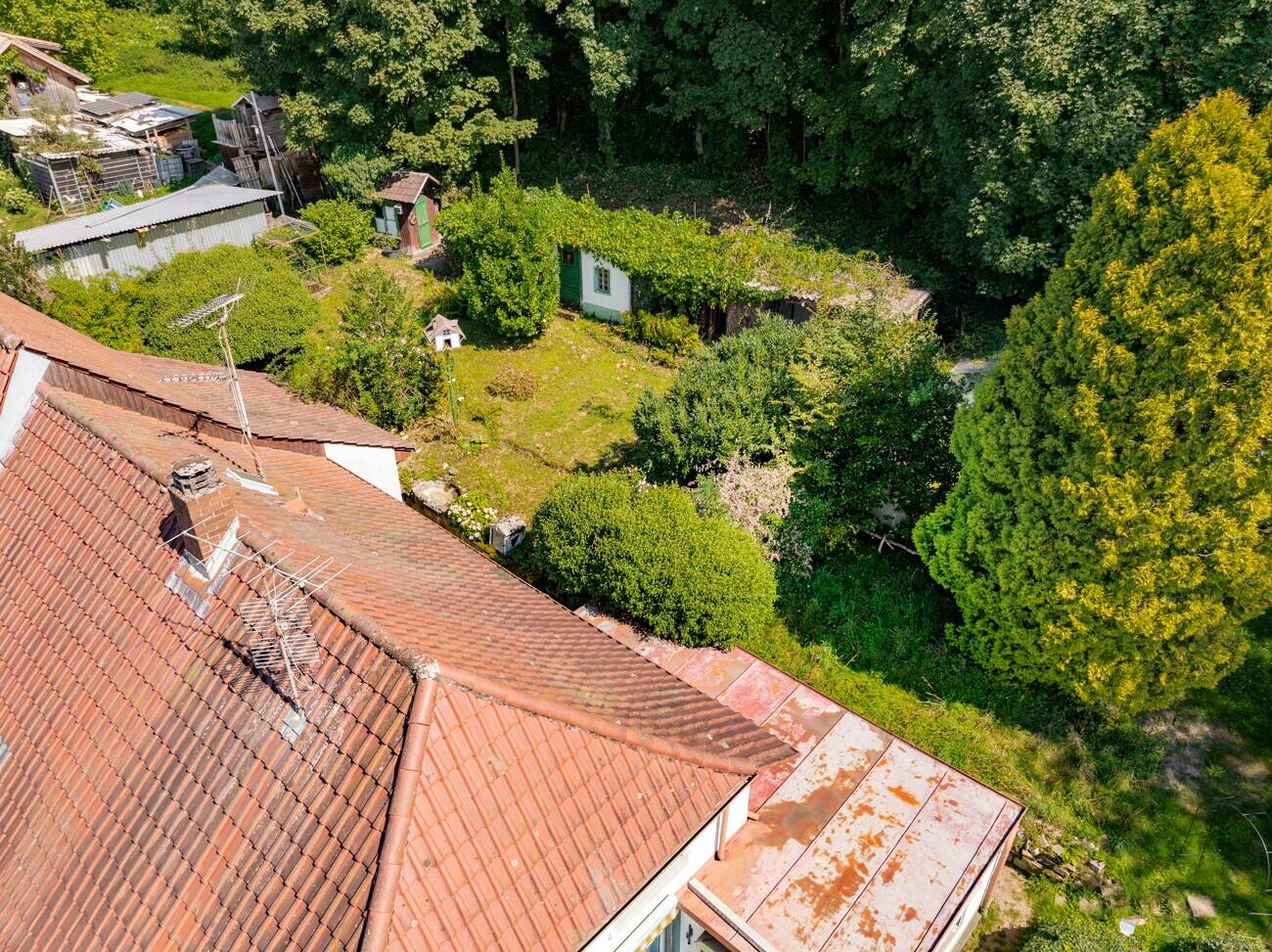 Bild 12