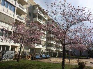 image-70077566