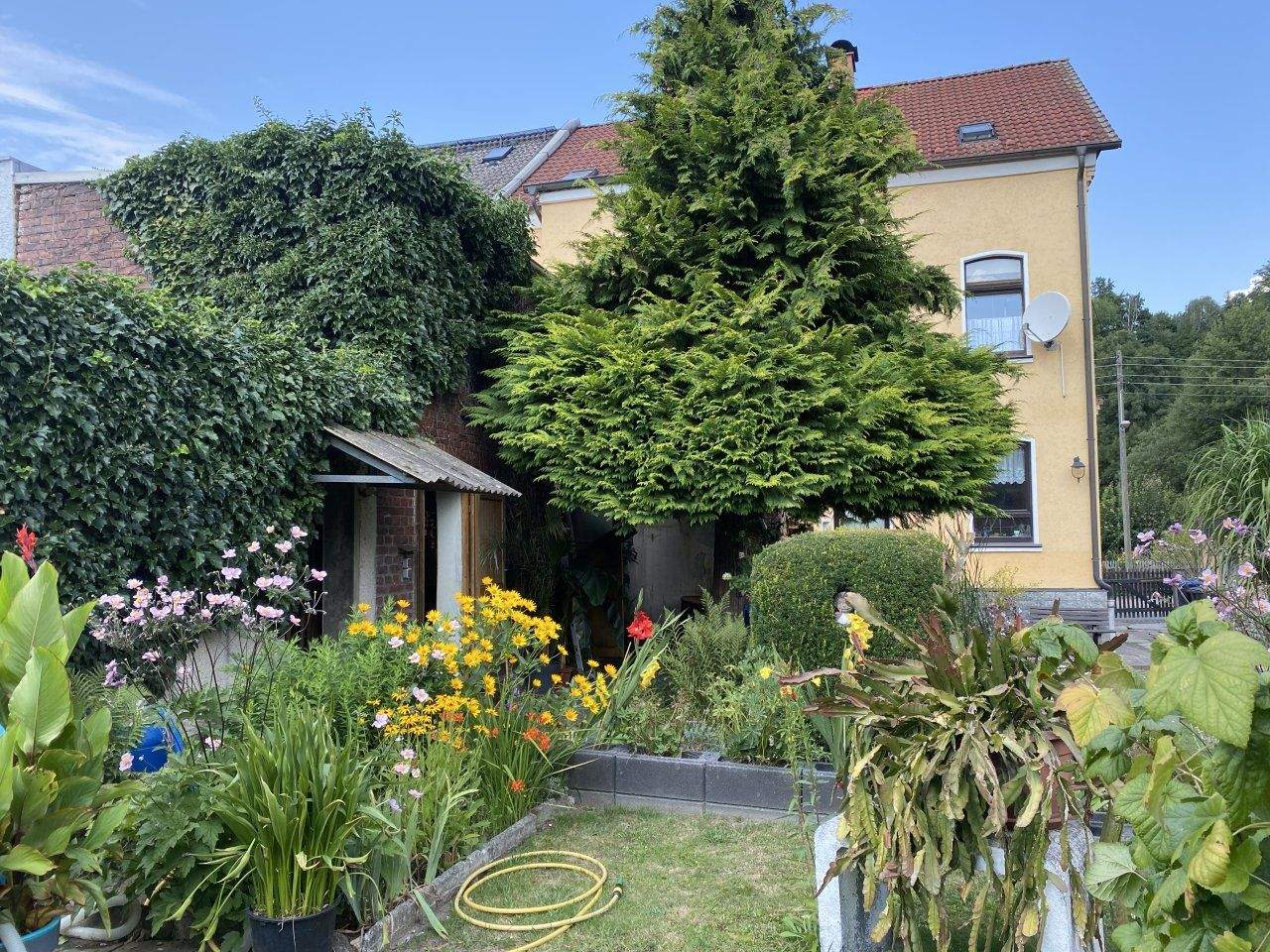 Bild 9