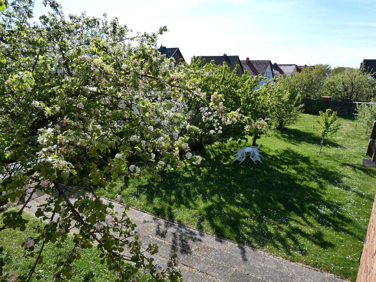 Bild 7