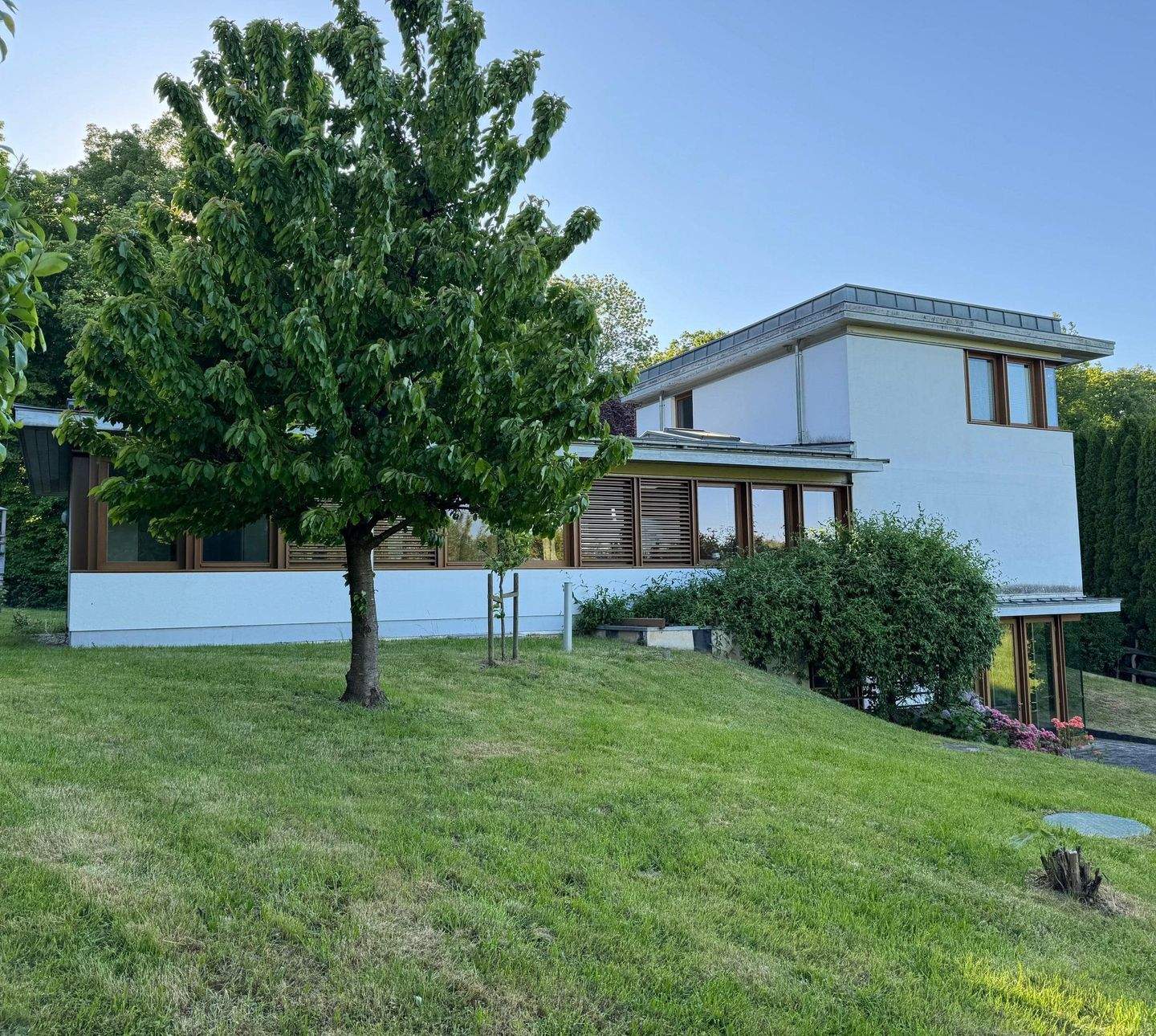 Bild 11