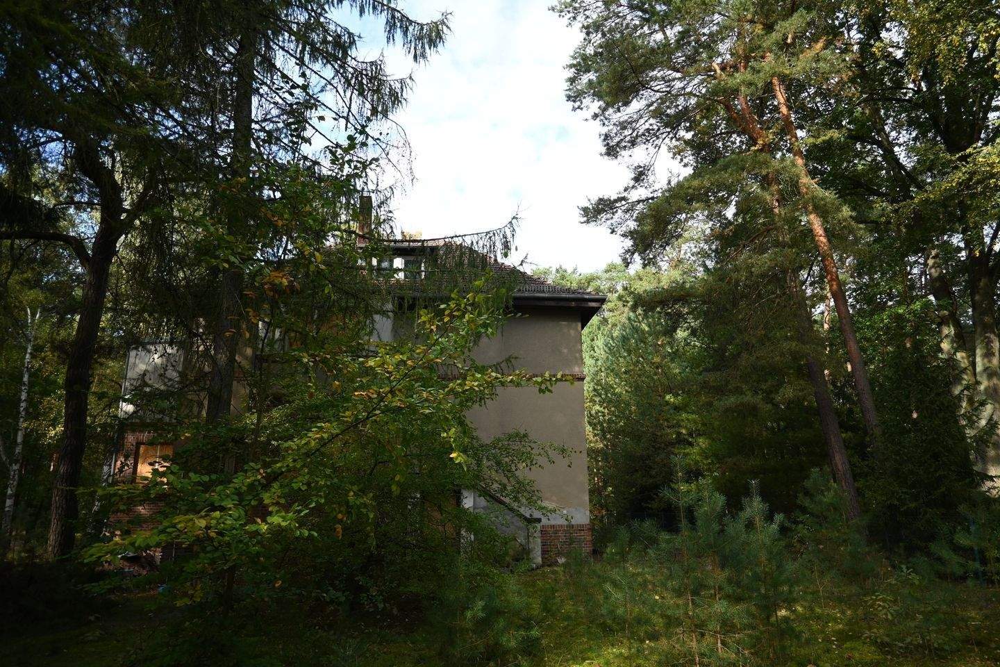 Bild 5