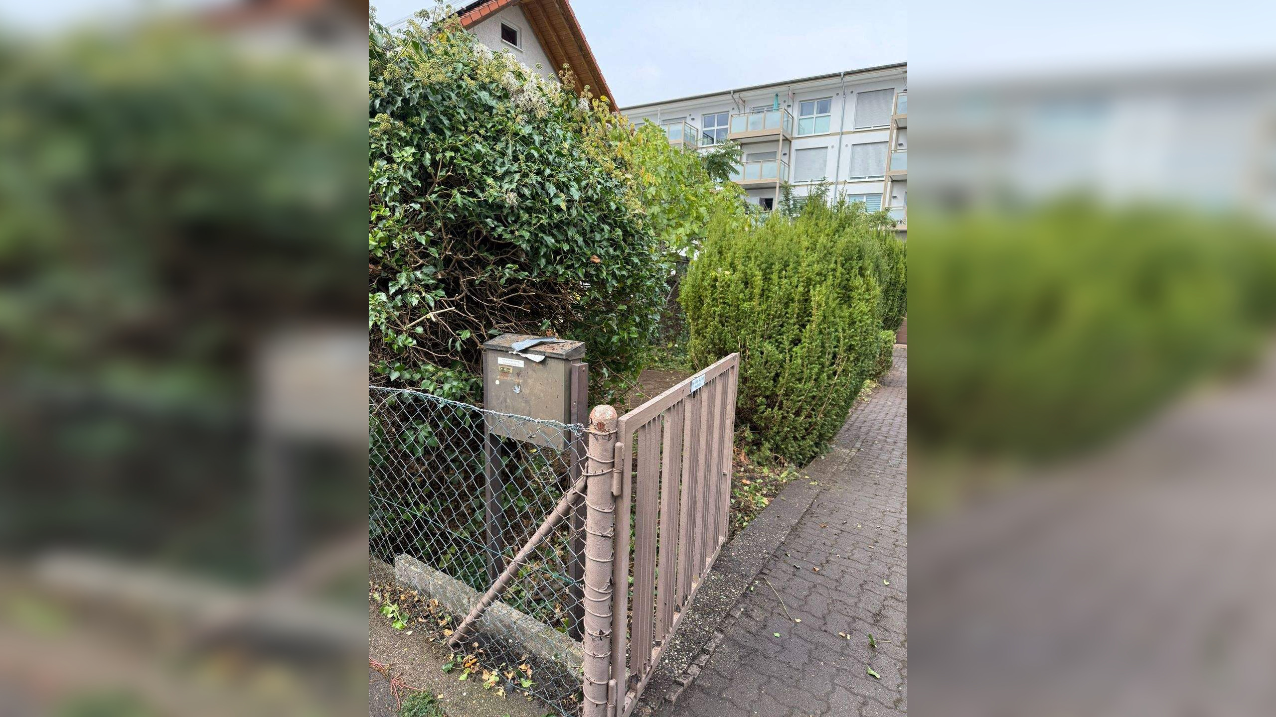 Bild 7