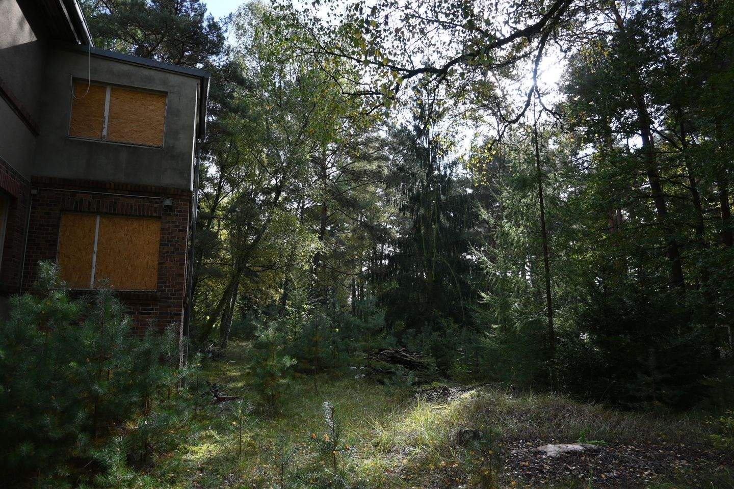 Bild 8