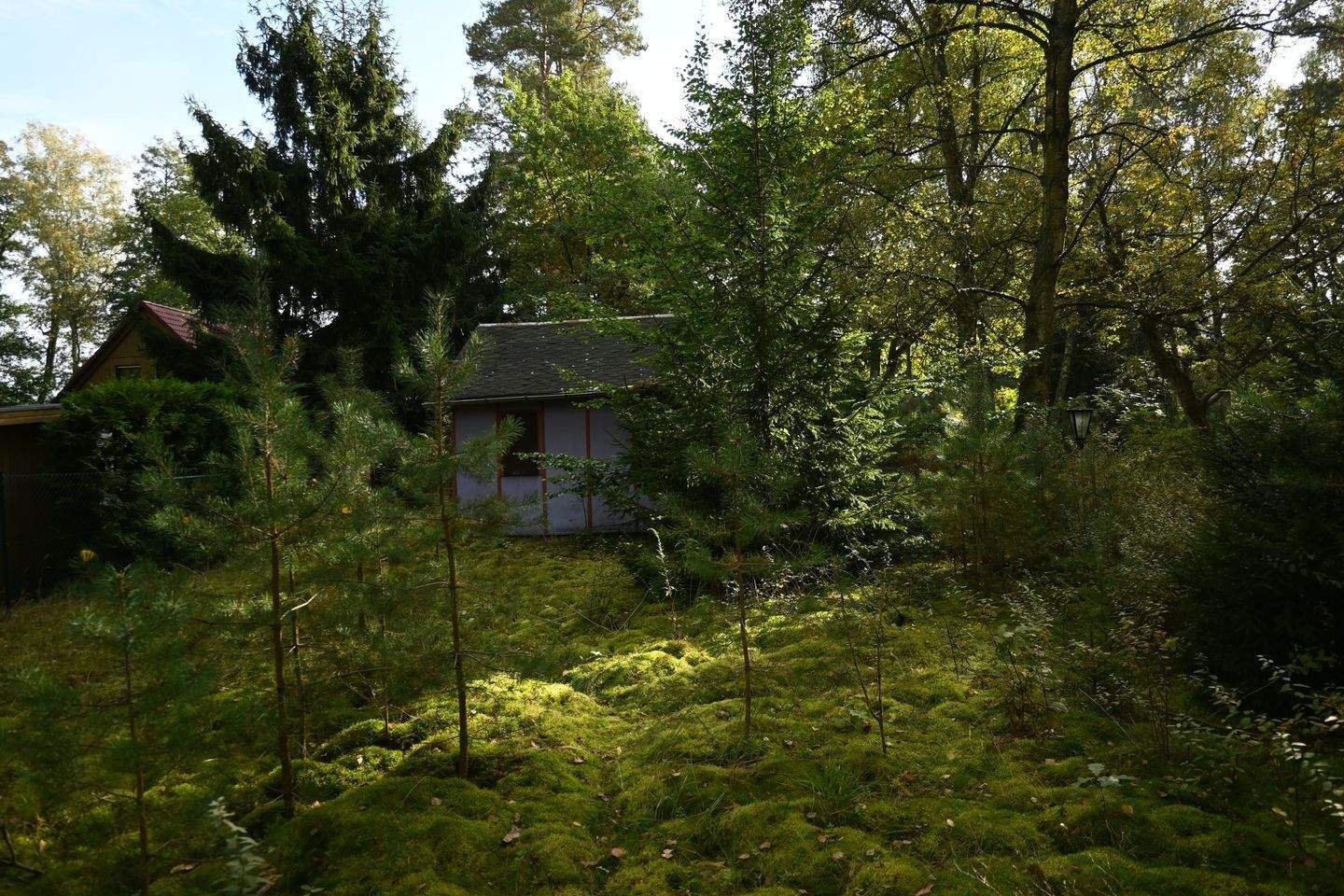 Bild 10