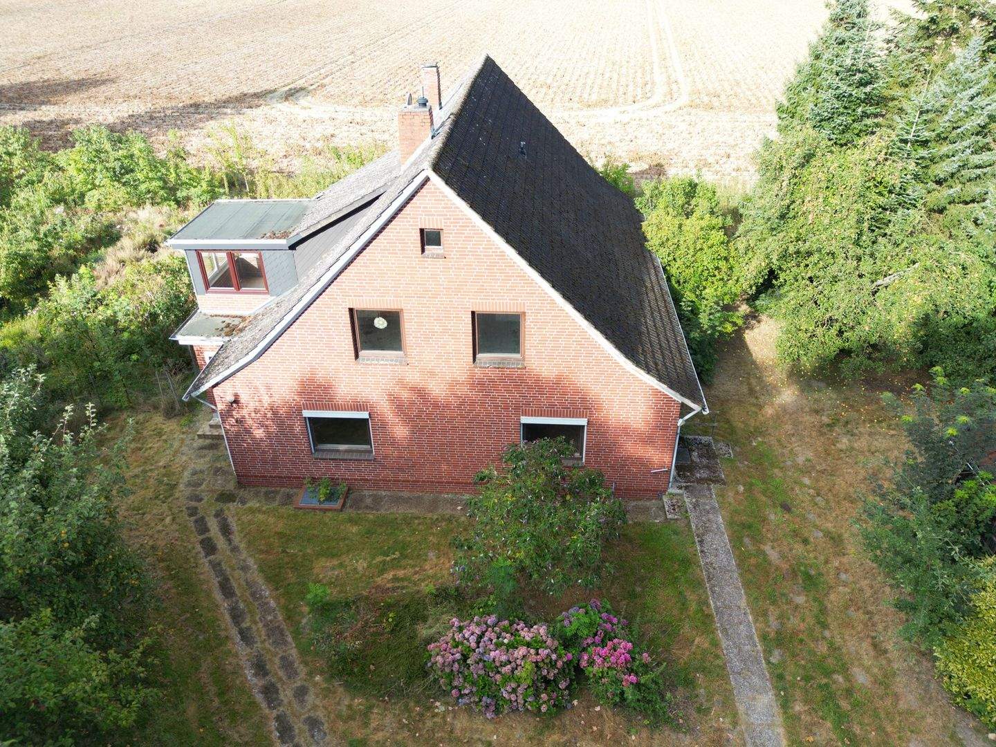 Bild 5