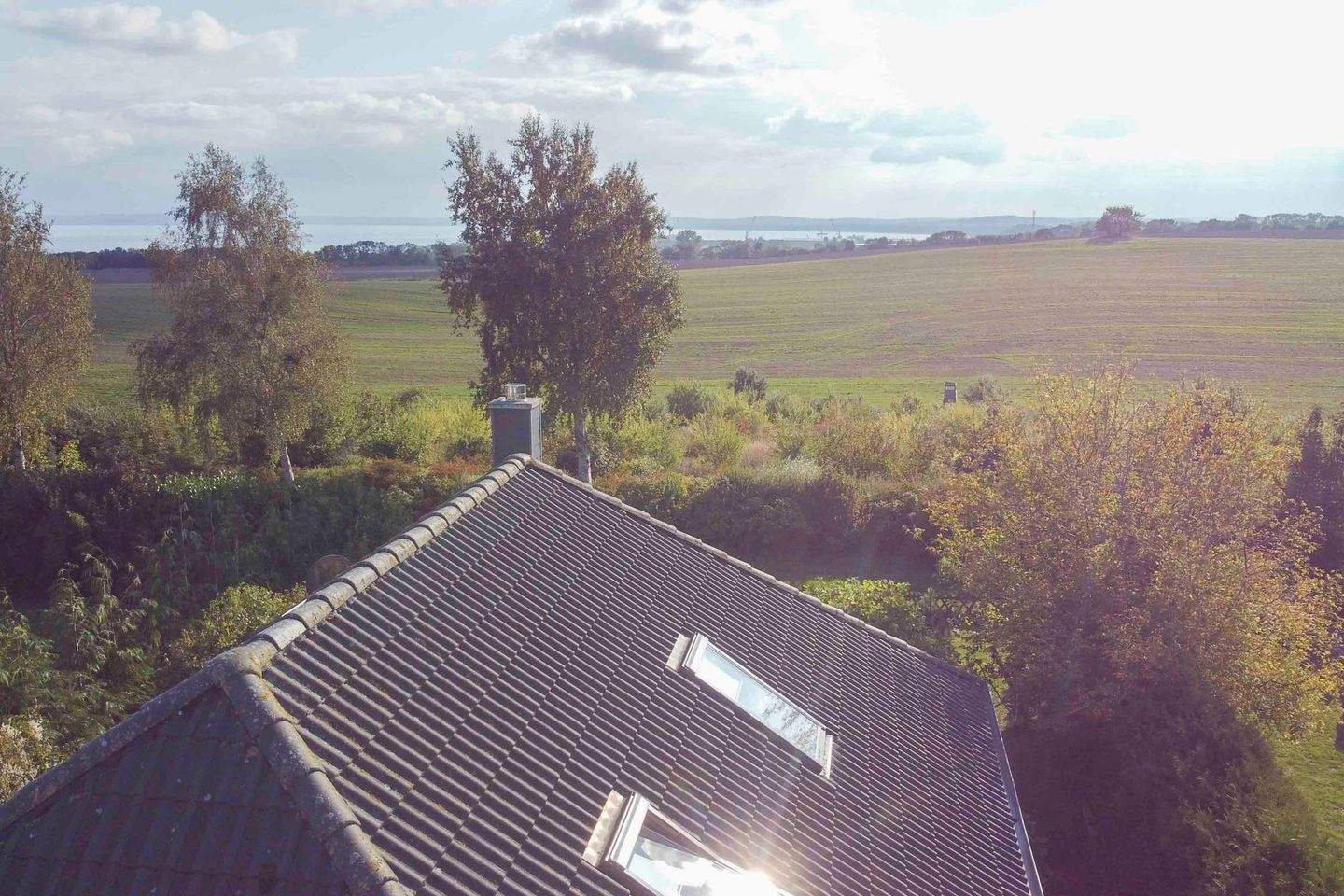 Bild 11