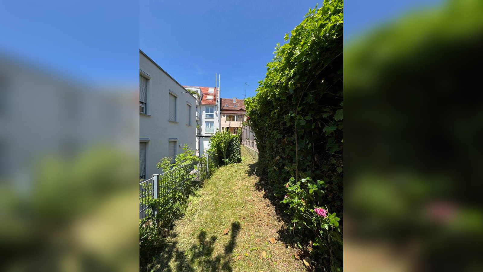 Bild 15