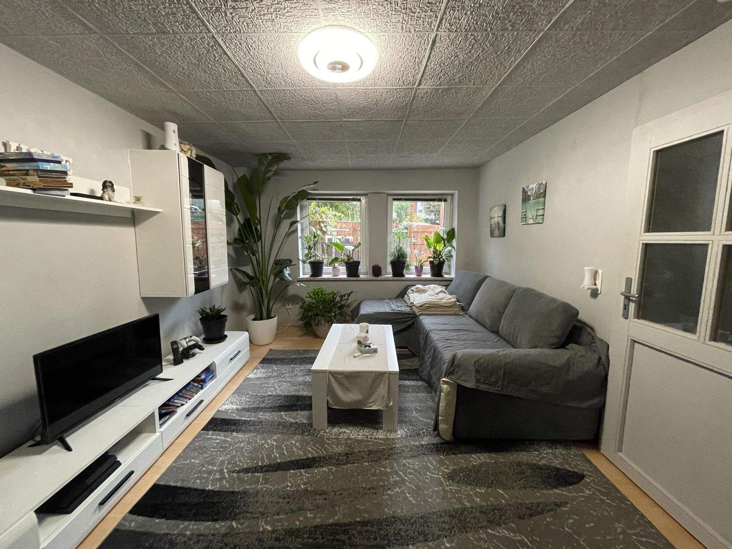 Bild 5
