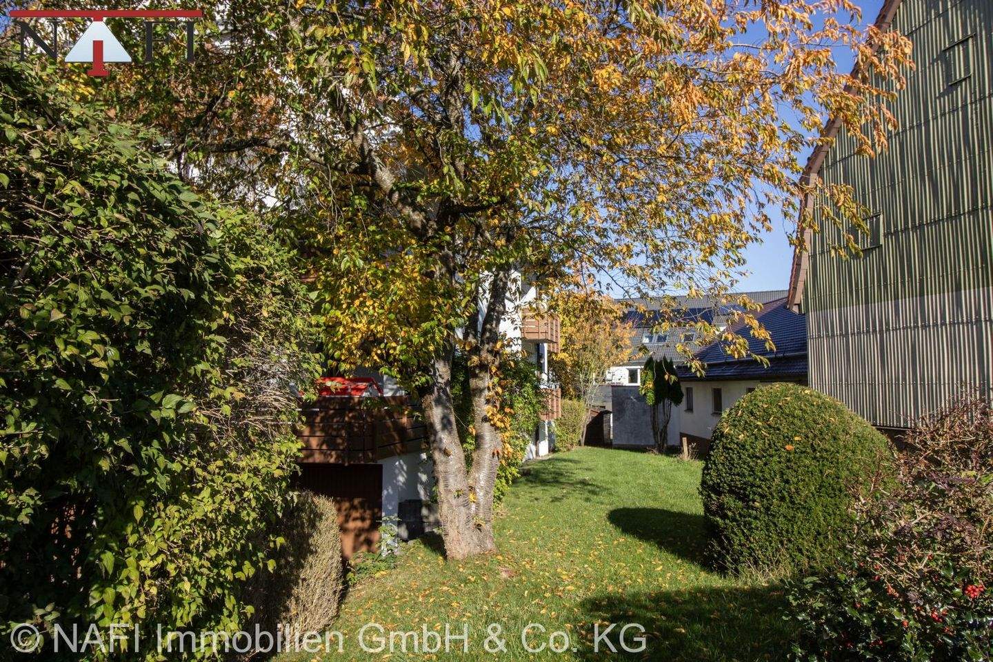 Bild 5