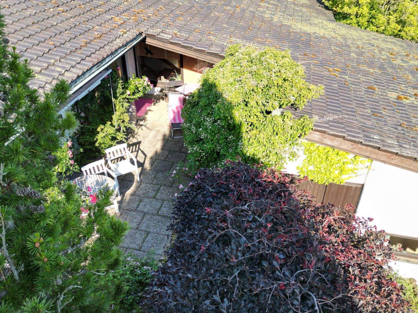 Bild 7
