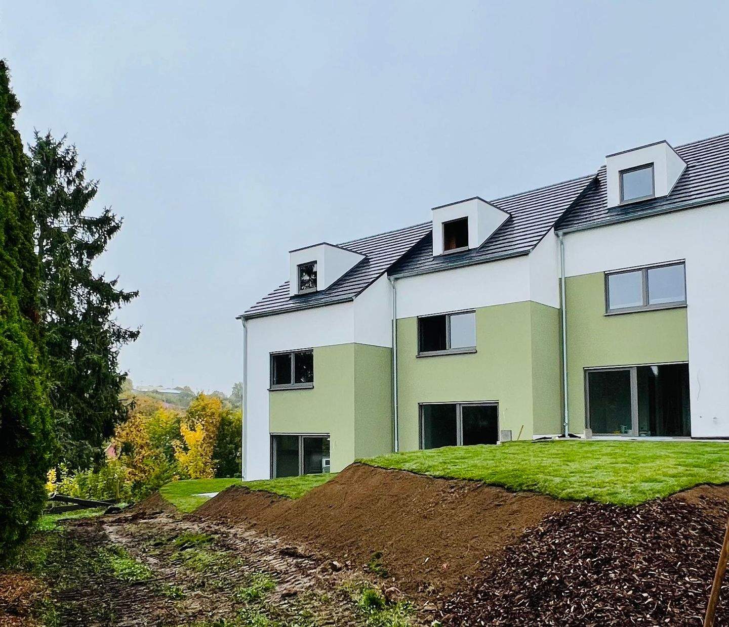 Bild 7