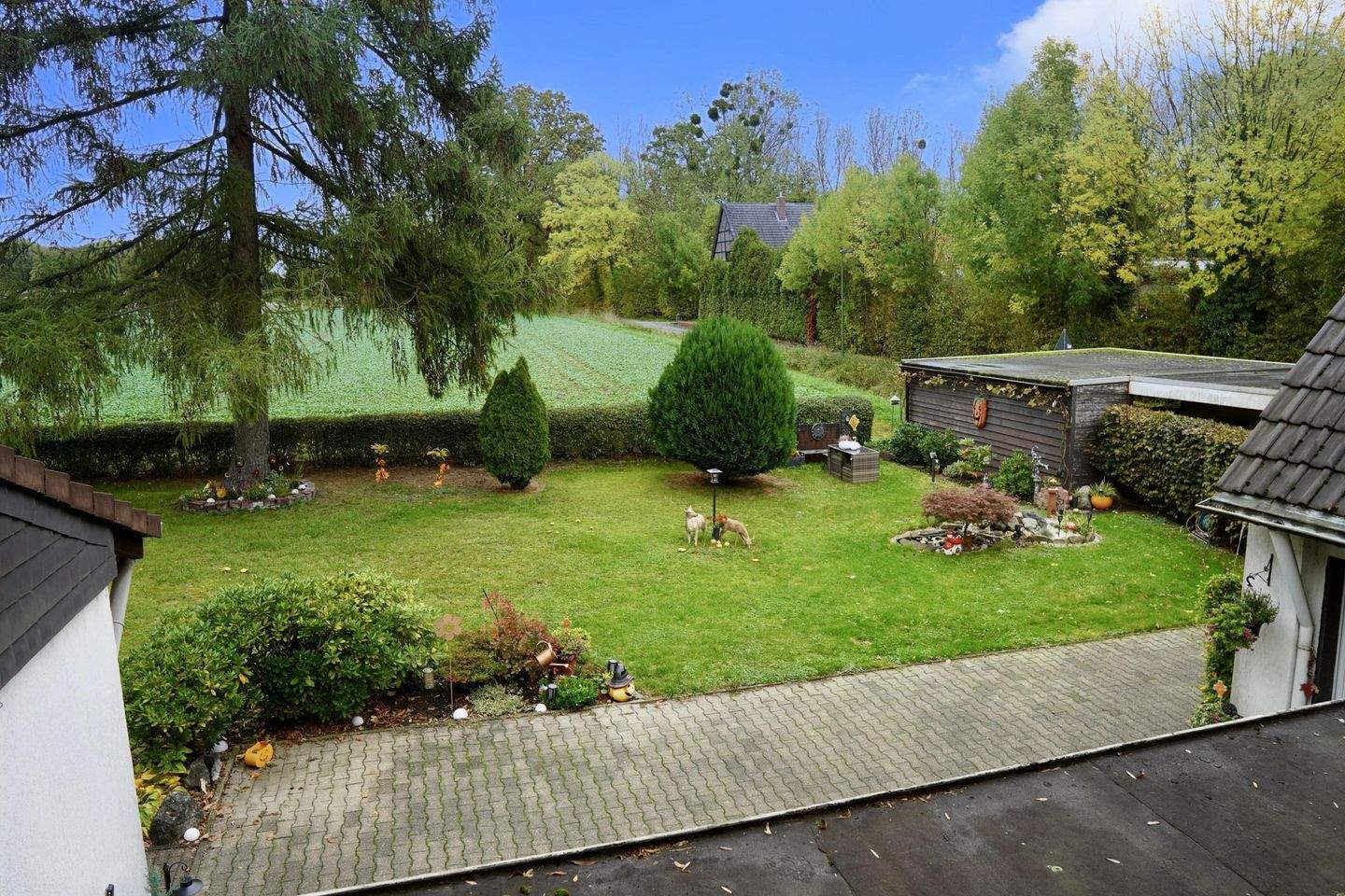 Bild 8
