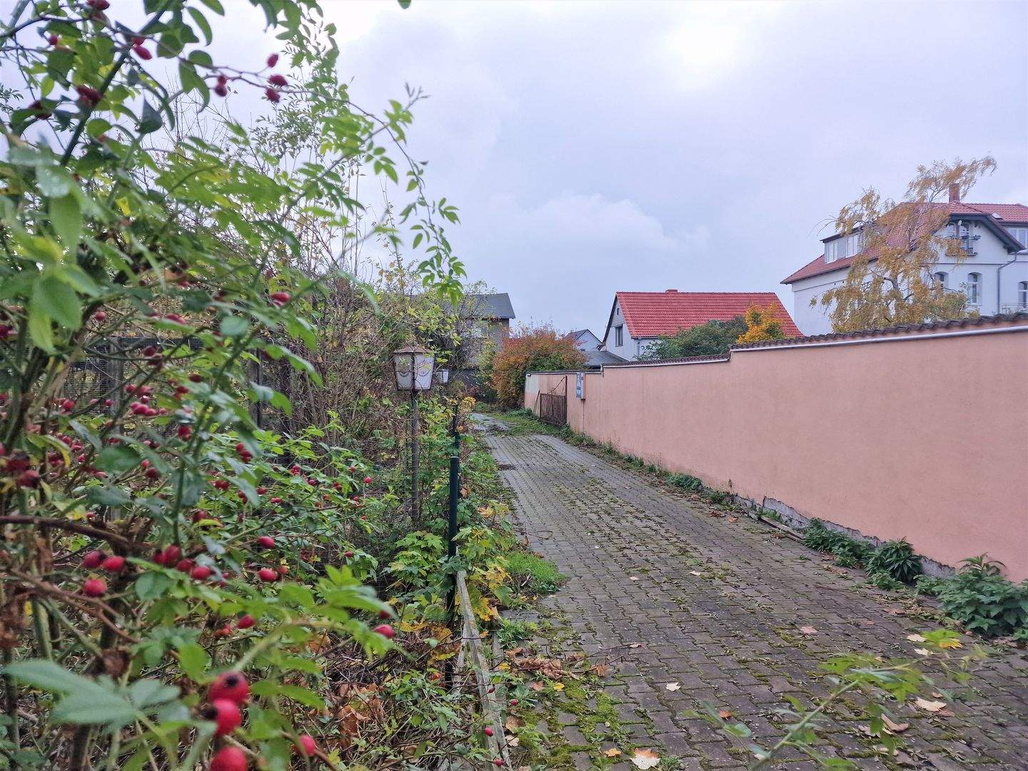 Bild 7