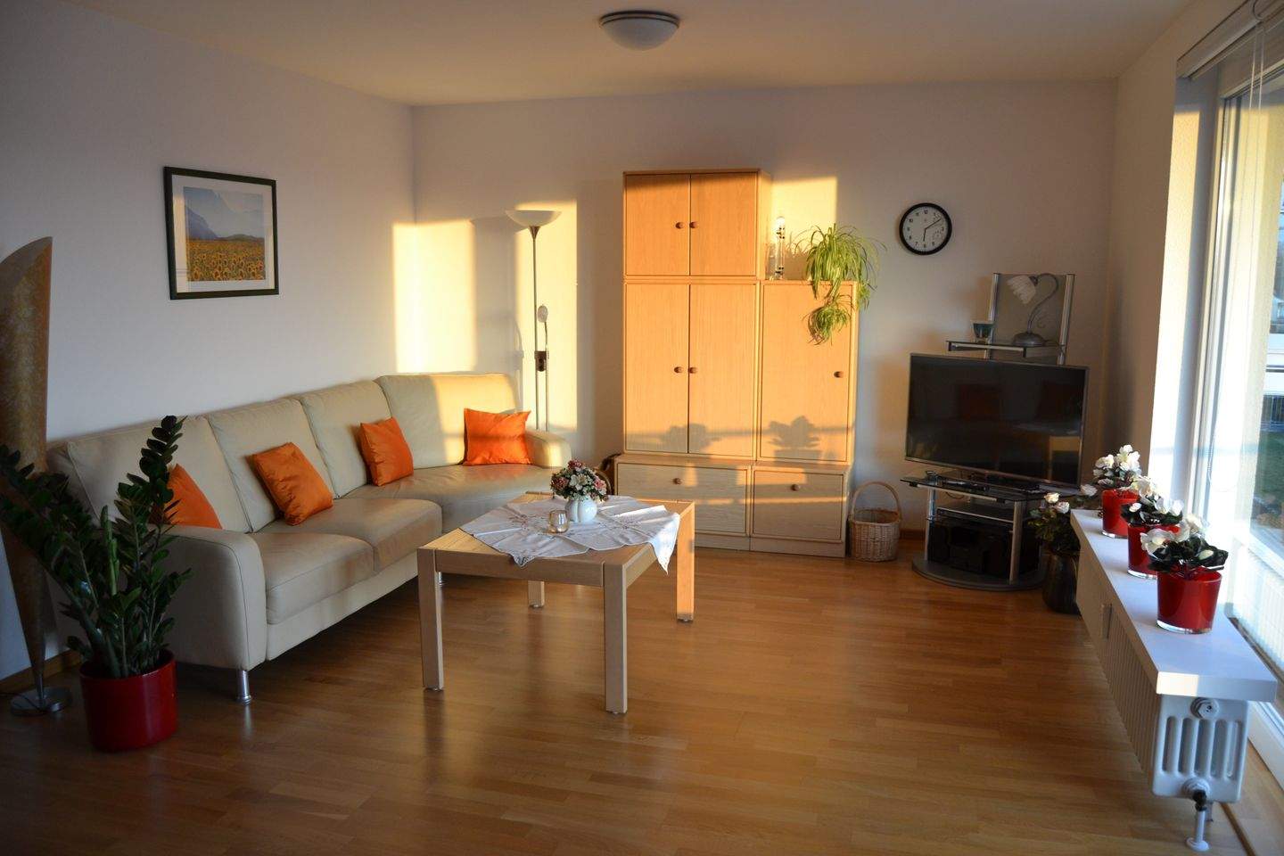 Bild 8